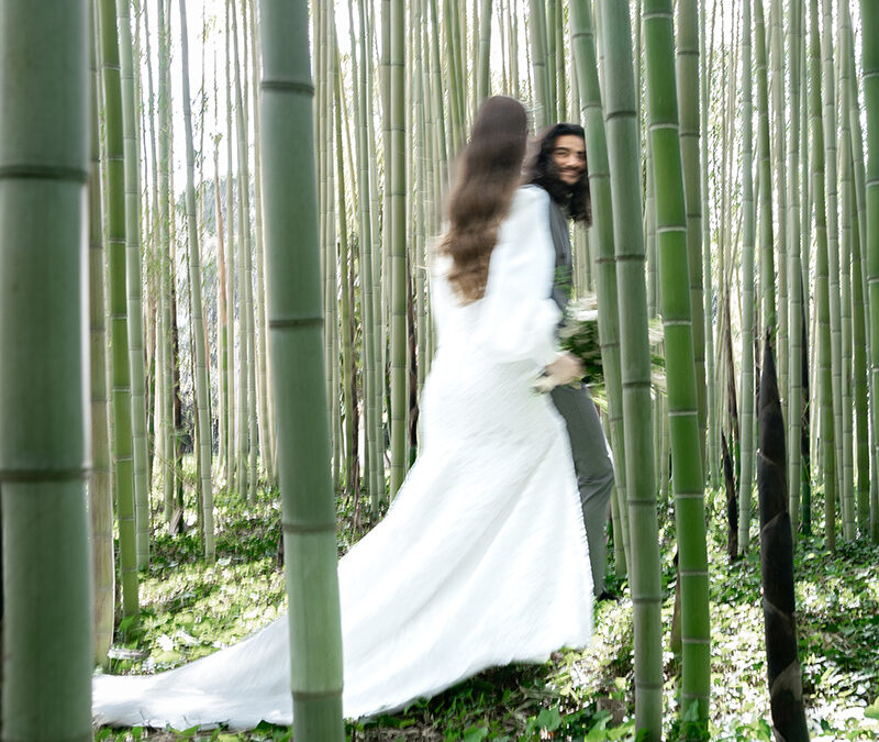 Inspirations végétales pour un mariage dans une bambouseraie