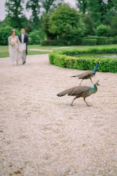 mariage-bridgerton-chateau-de-Villers-Bocage-normandie-Harriette-Earnshaw-photography (32)