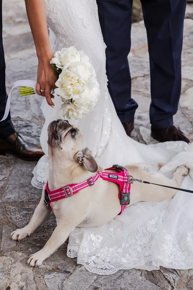 mariage-cote-d-azur-moulin-de-l-etang-mougins-morgan-amsellem (33)