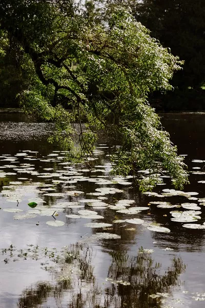 mariage-elegant-chapelle-chateau-lepordor-loire-atlantique-solene-lagantweddings (38)