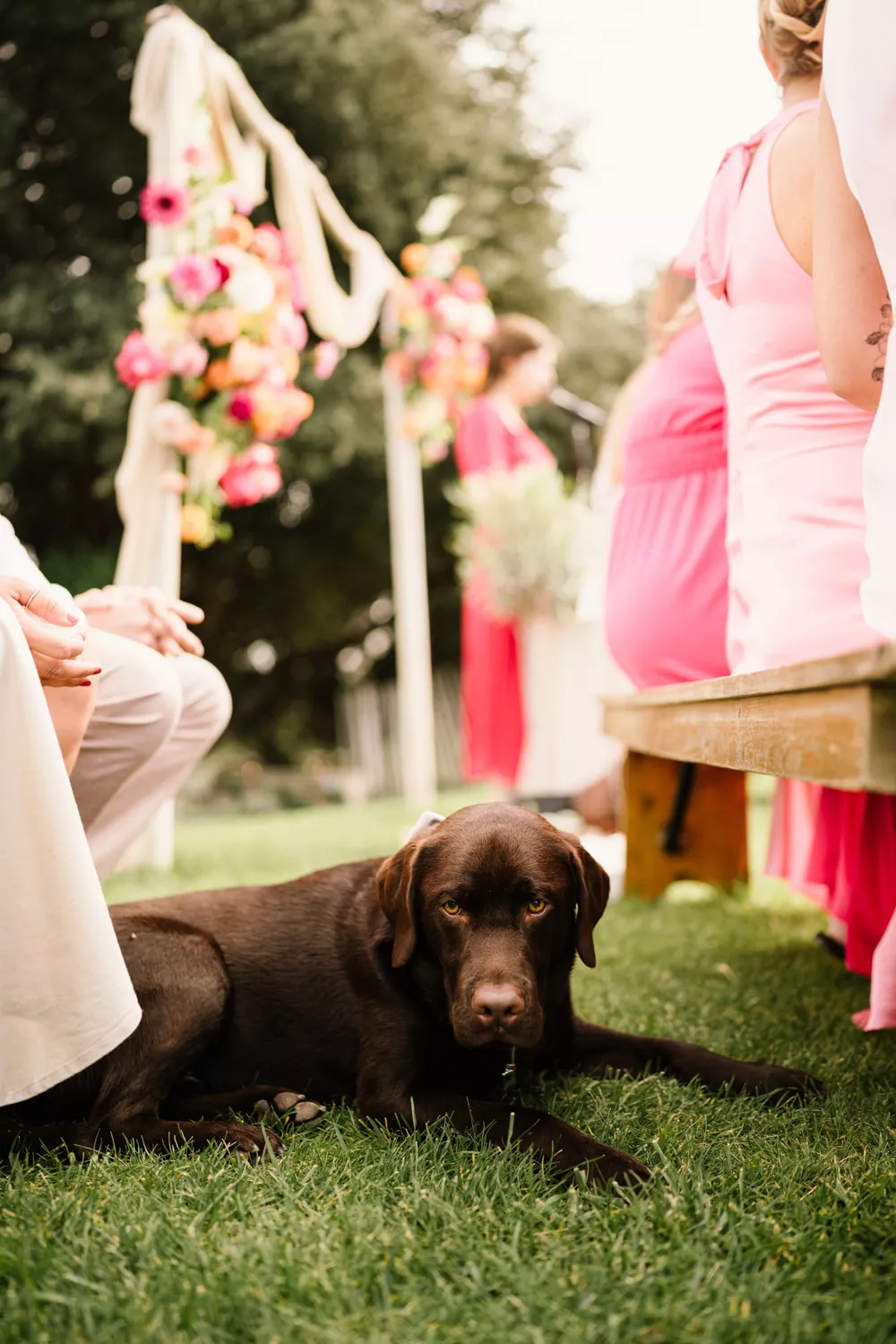 mariage-dolce-vita-mas-des-costes-thomas-orsatelli (20)